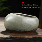 Ceramic Vintage Planter