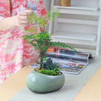 Ceramic Vintage Planter