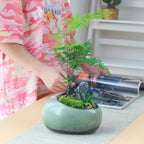 Ceramic Vintage Planter