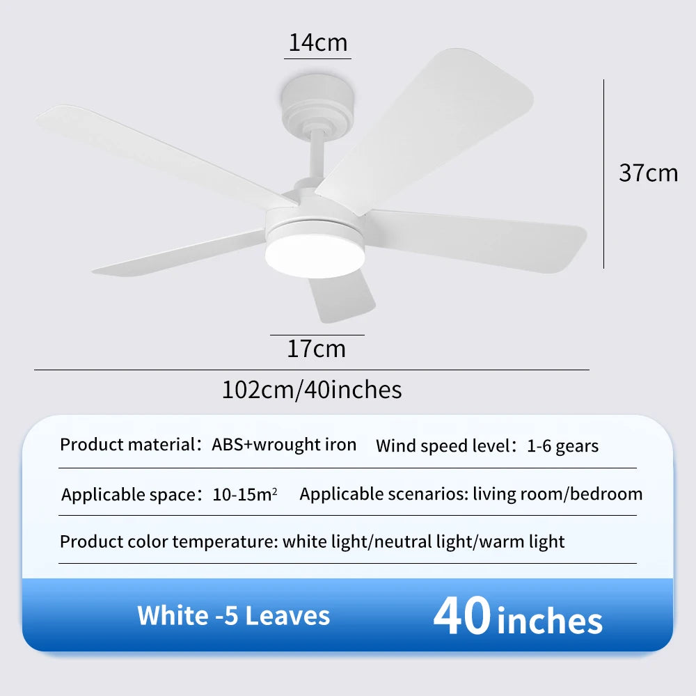 Black Remote-Control Ceiling Fan Light