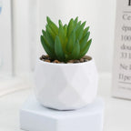 Lifelike Faux Succulent Arrangement