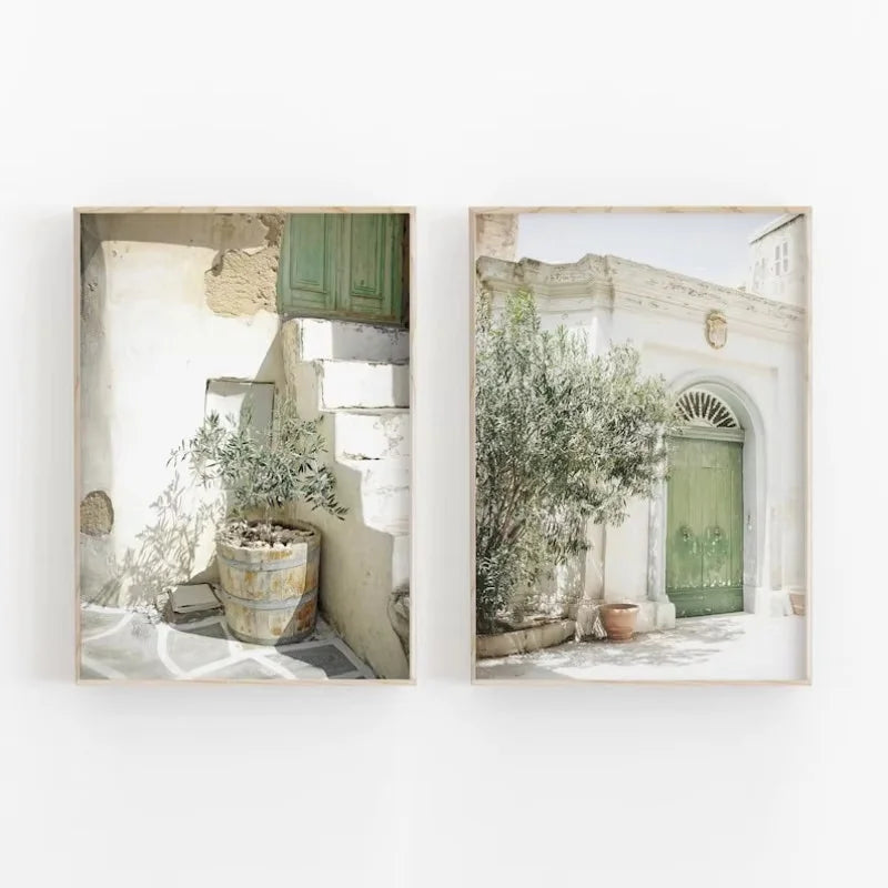 Olive Tree Shadow Canvas Print Set
