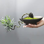 Bamboo Ceramic Planter