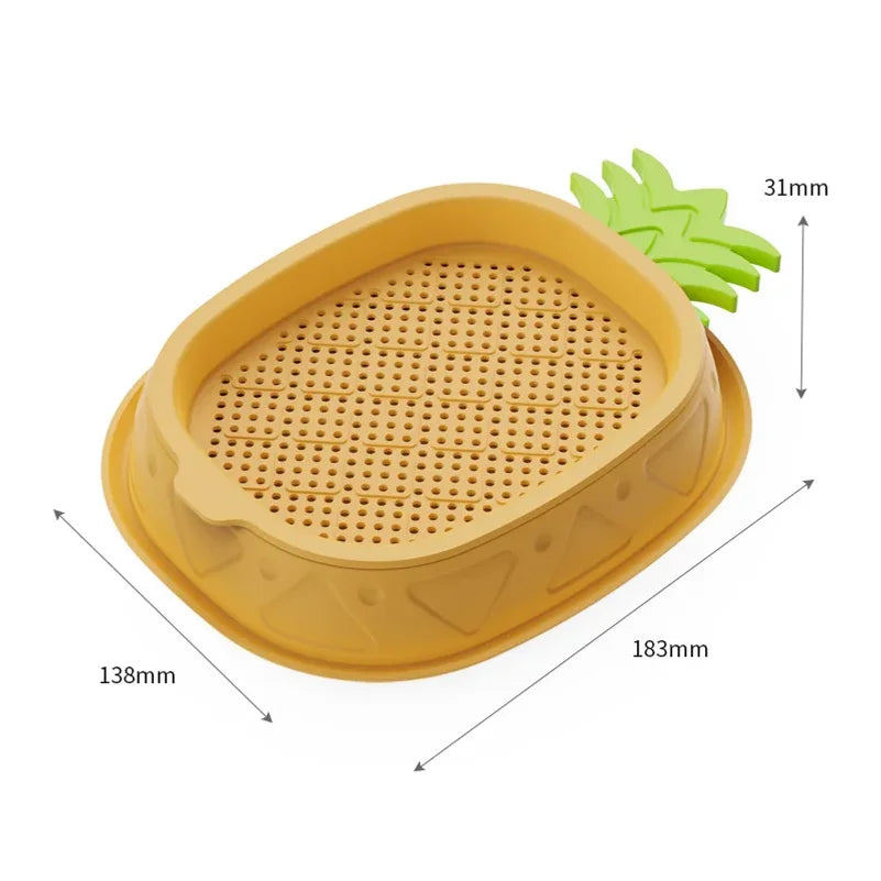 Hydroponic Cat Grass Planter