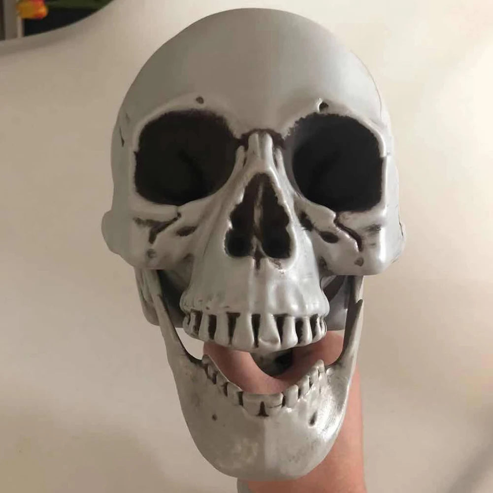 Life-Size 170 cm Posable Halloween Skeleton