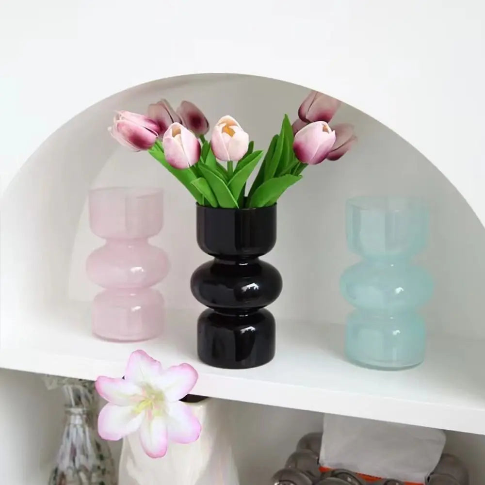 Minimalist Hydroponic Glass Vase