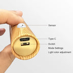 Sconces Motion-Sensor LED Wall Light
