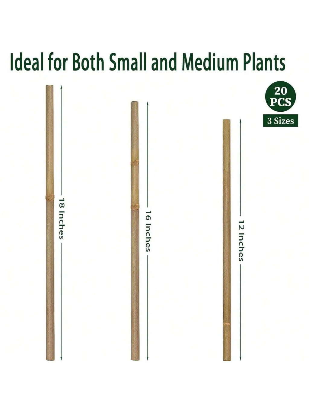 Bamboo Plant Support Stakes