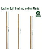 Bamboo Plant Support Stakes