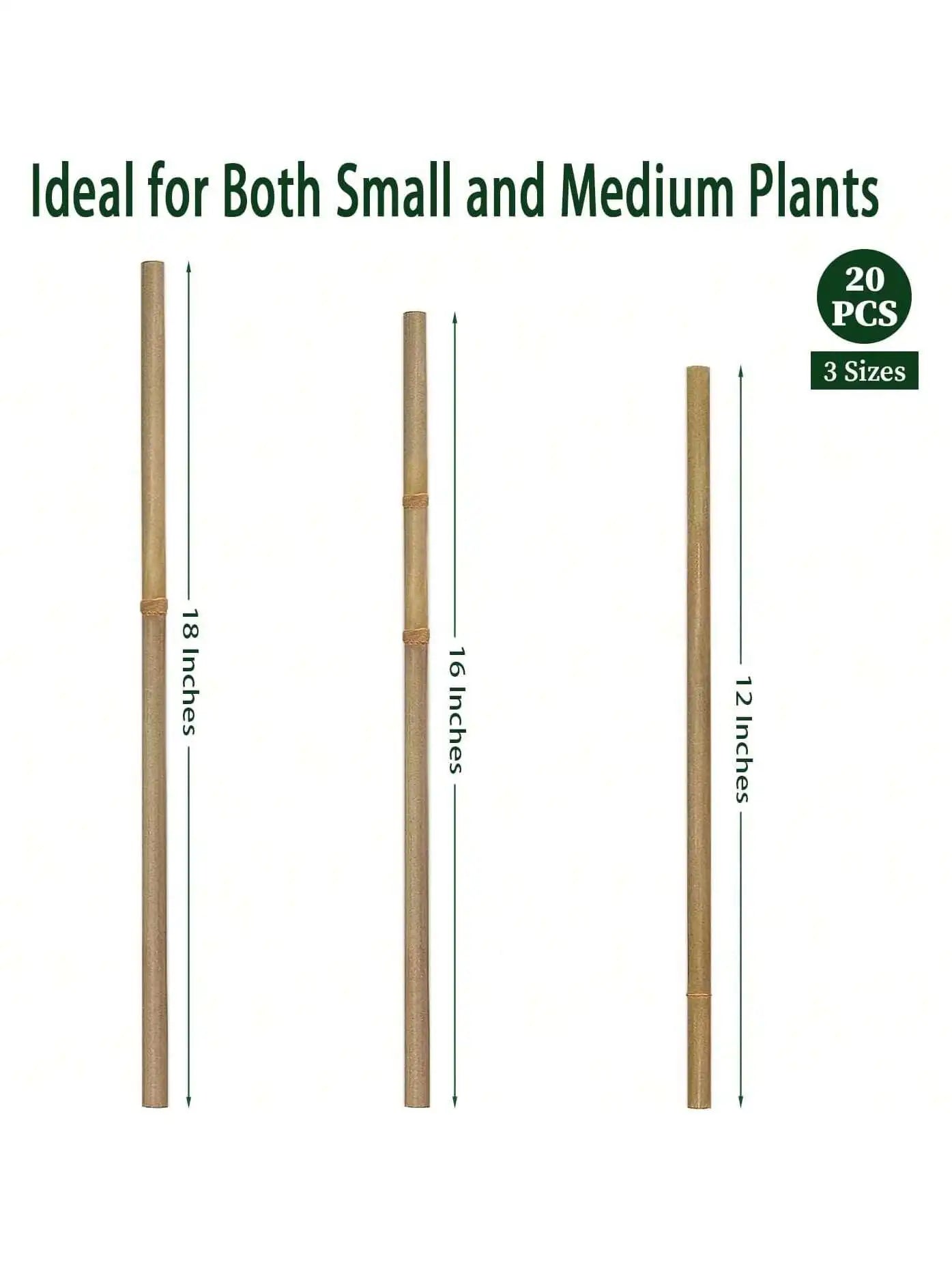 Bamboo Plant Support Stakes