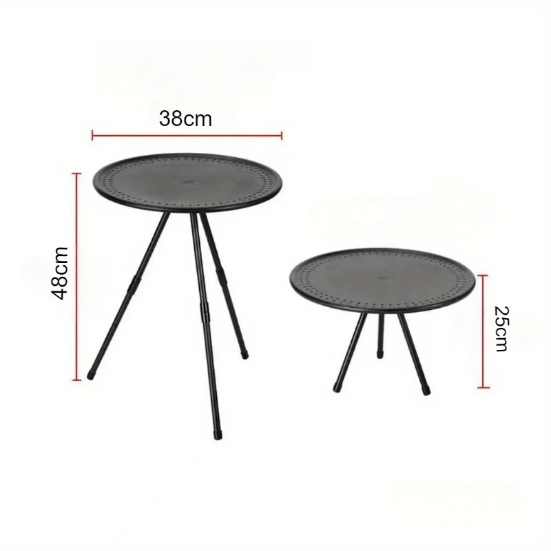 Portable Folding Picnic Table