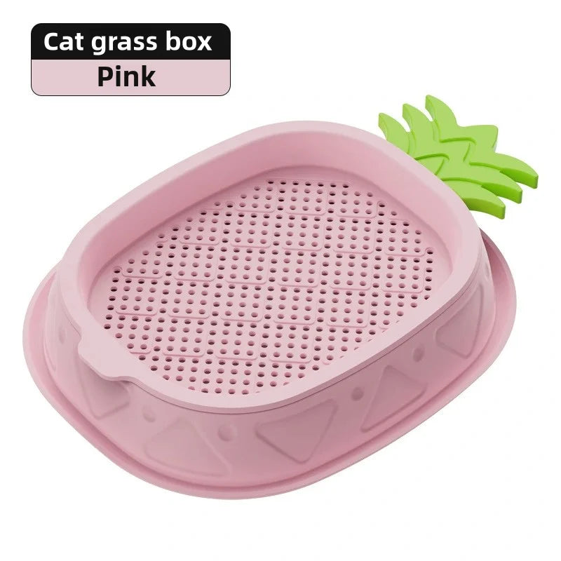 Hydroponic Cat Grass Planter