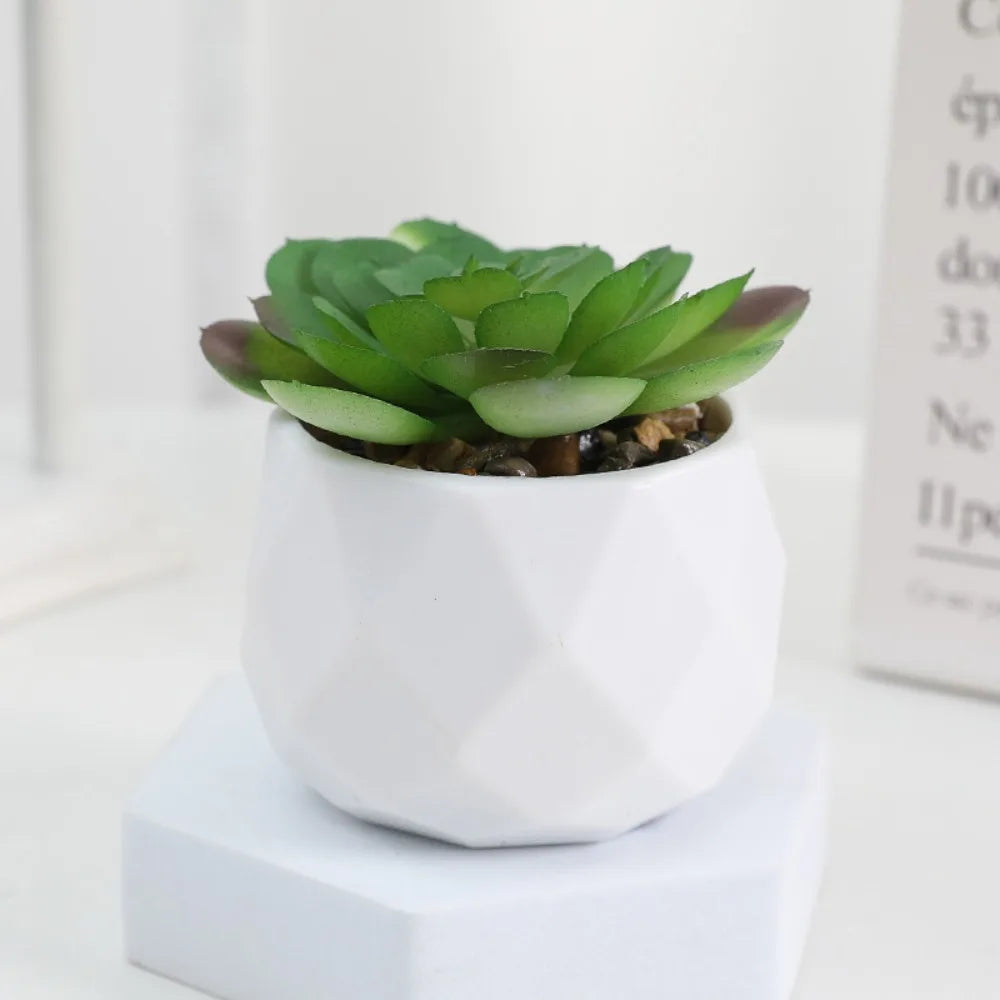 Lifelike Faux Succulent Arrangement