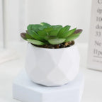 Lifelike Faux Succulent Arrangement