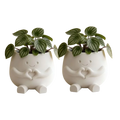 Unique Resin Planter