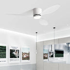Restaurant Ceiling Fan with Light