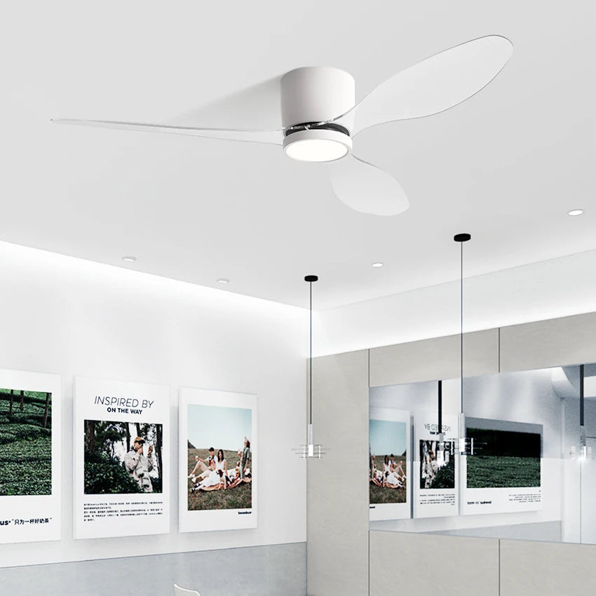 Restaurant Ceiling Fan with Light