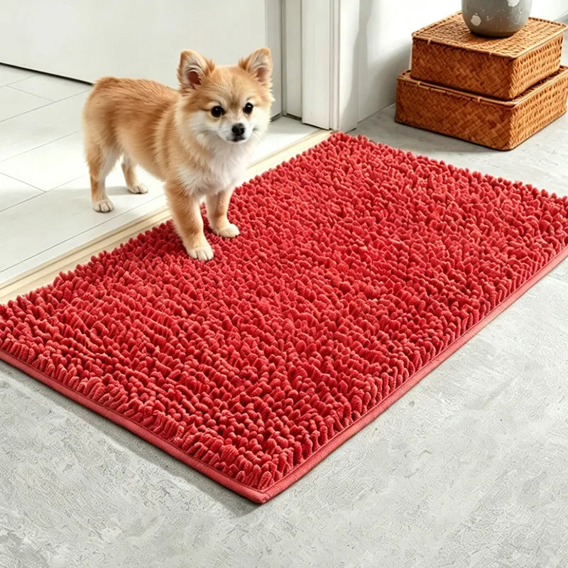 Washable Absorbent Dog Door Mat