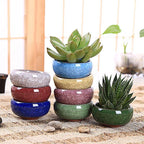 Cute Ceramic Planter