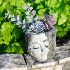 Tree Resin Planter
