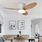 Casa Ceiling Fan with Light