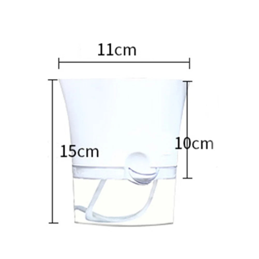 Transparent Planter