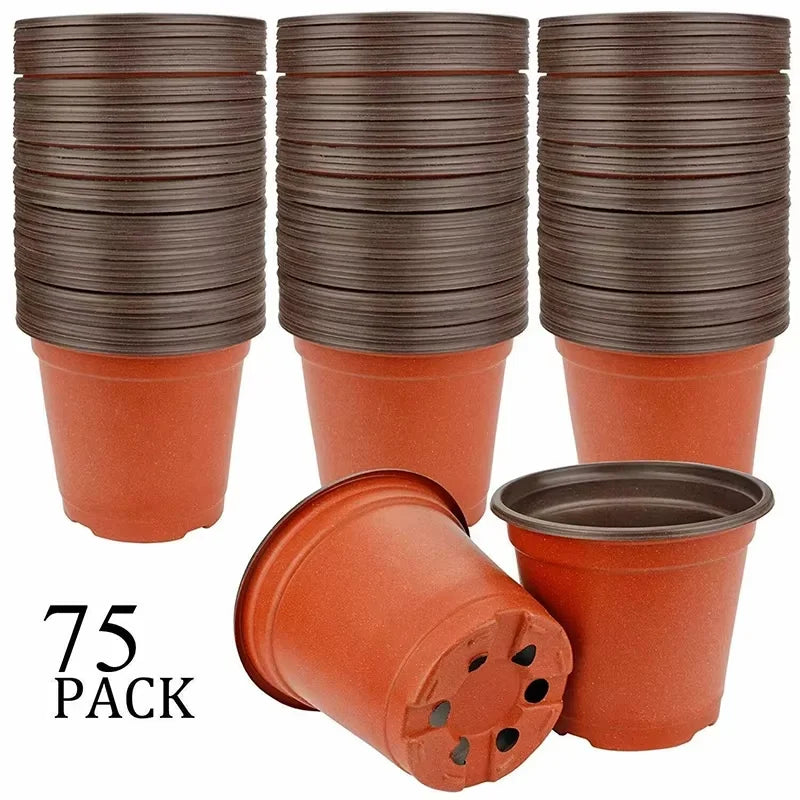 75-Pack Nursery Pots