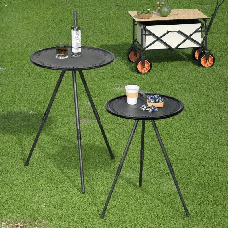 Portable Folding Picnic Table