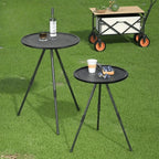 Portable Folding Picnic Table