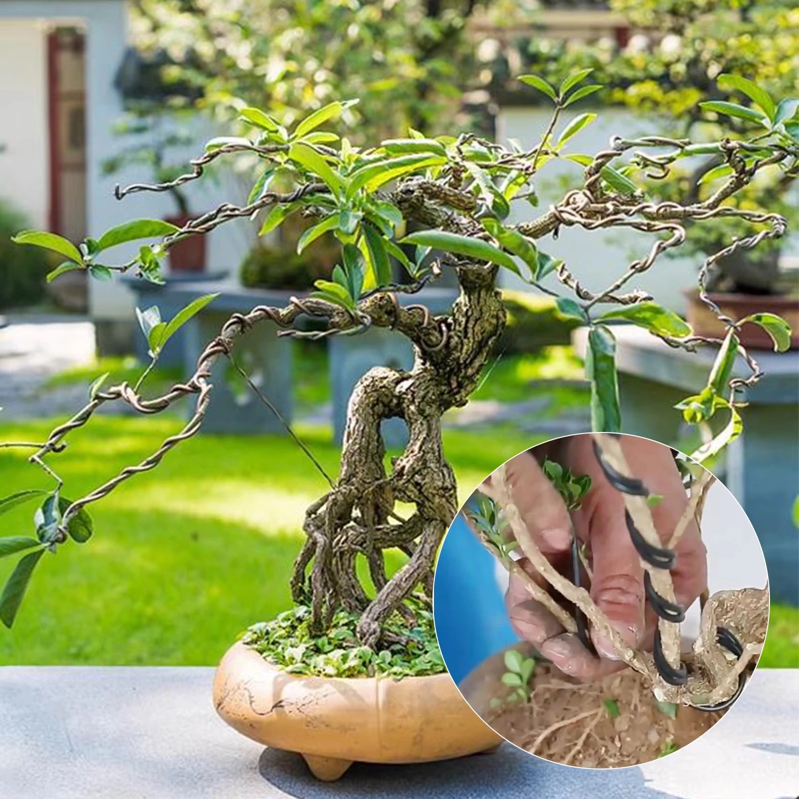 Bonsai Training Wire