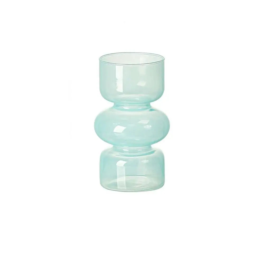 Minimalist Hydroponic Glass Vase