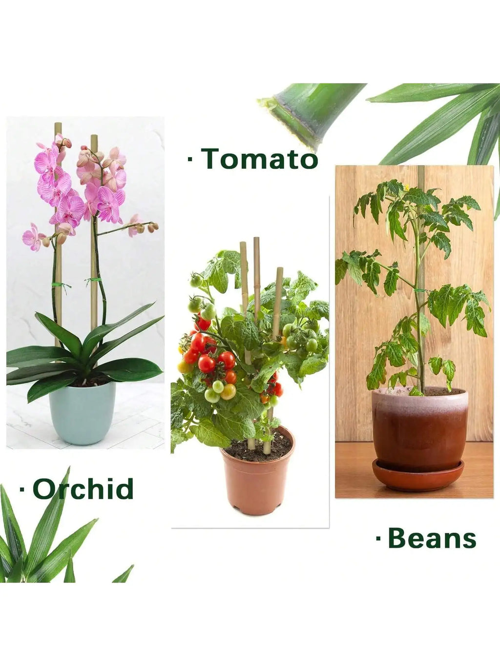 Bamboo Plant Support Stakes