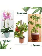 Bamboo Plant Support Stakes