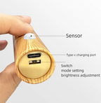 Rechargeable Motion Sensor Wall Light