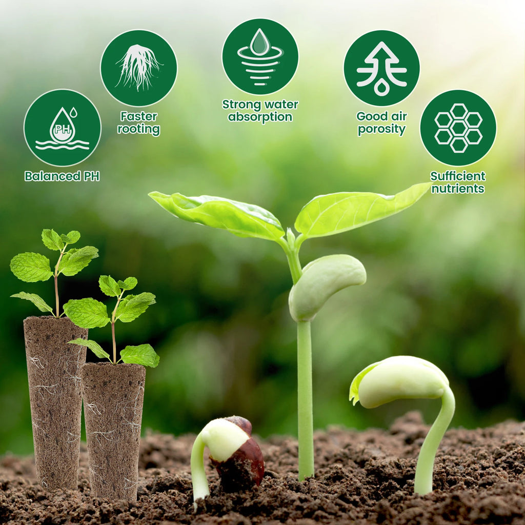 Hydroponic Seed Grow Sponge Kit