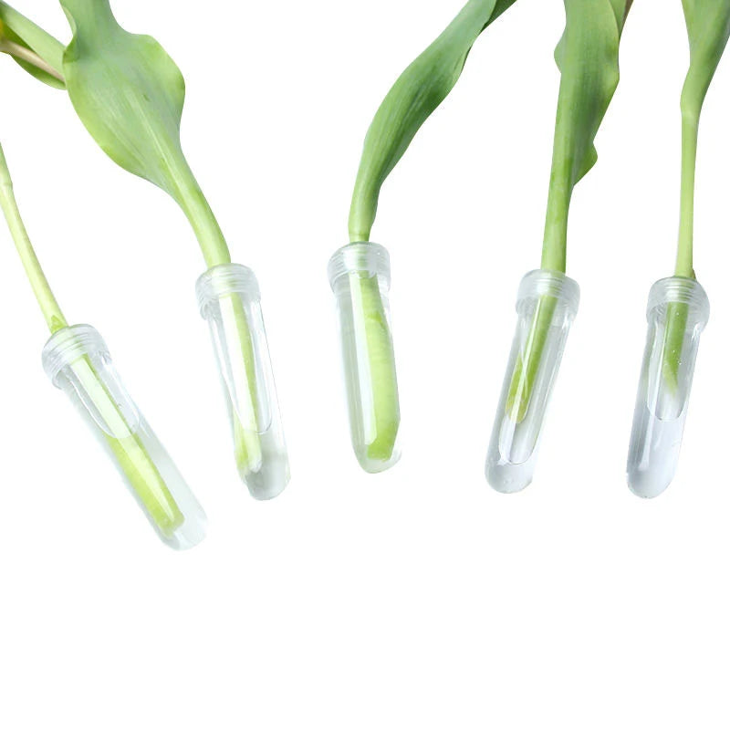 Fresh Flower Water Tube Set