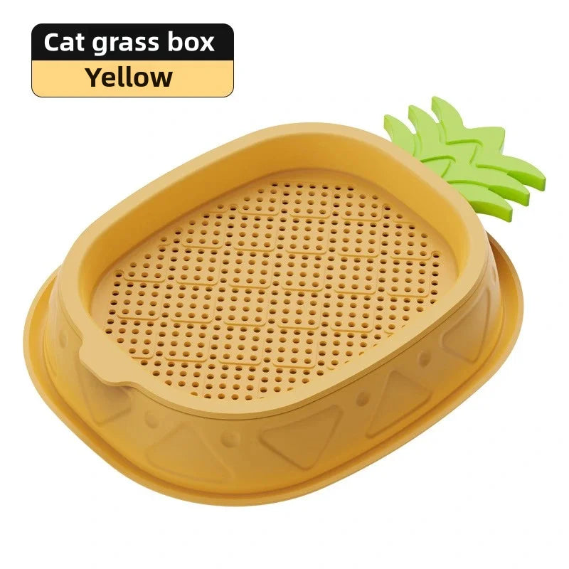 Hydroponic Cat Grass Planter