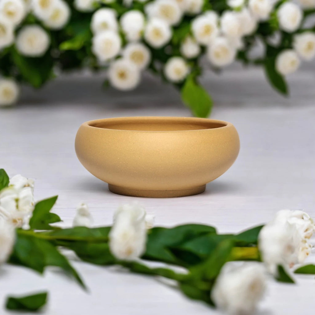 Ceramic Bonsai Planter