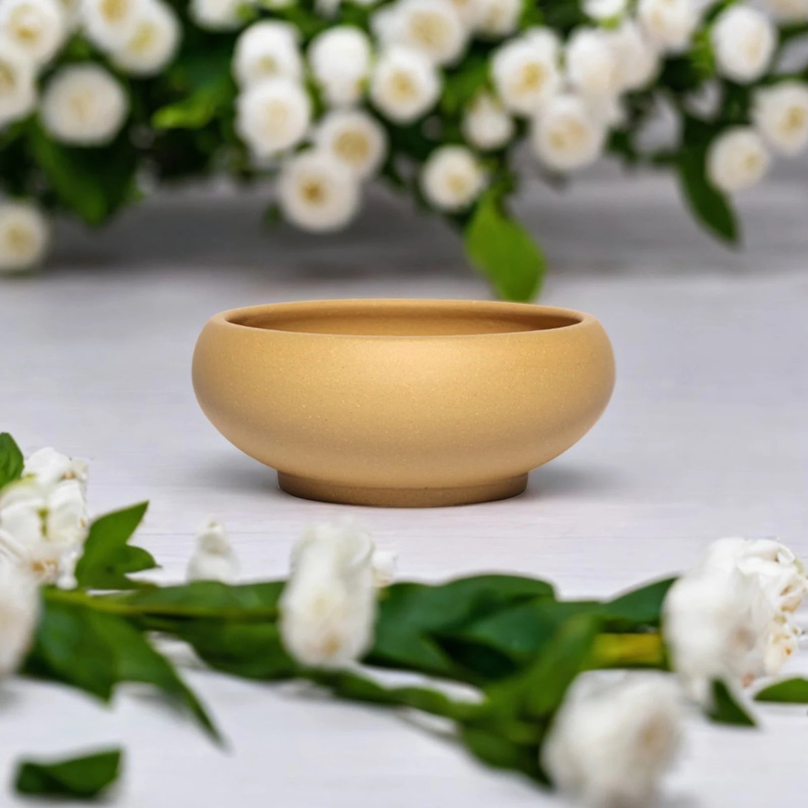 Ceramic Bonsai Planter