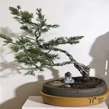 Bonsai Training Wire