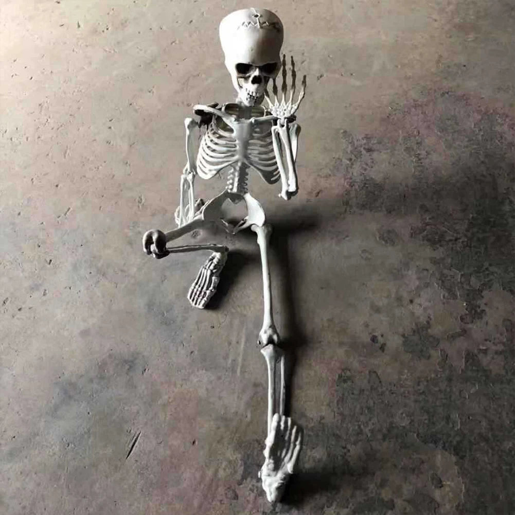 Life-Size 170 cm Posable Halloween Skeleton