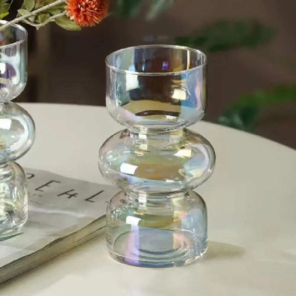 Minimalist Hydroponic Glass Vase