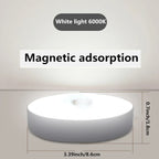 White Warm Light Magnetic Night