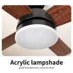 Black Remote-Control Ceiling Fan Light