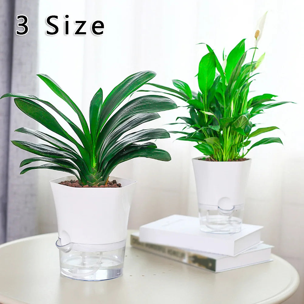 Transparent Planter