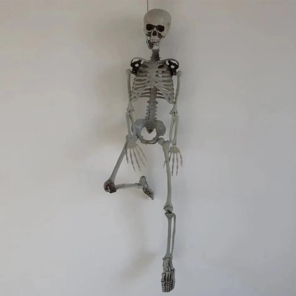 Life-Size 170 cm Posable Halloween Skeleton
