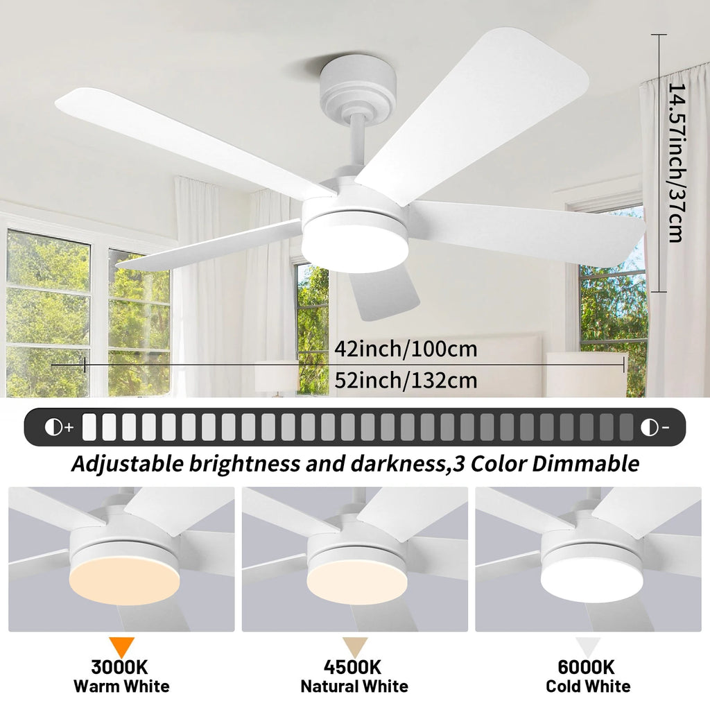 Black Remote-Control Ceiling Fan Light
