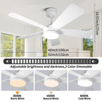 Black Remote-Control Ceiling Fan Light