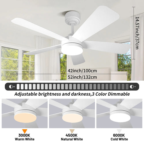 Black Remote-Control Ceiling Fan Light