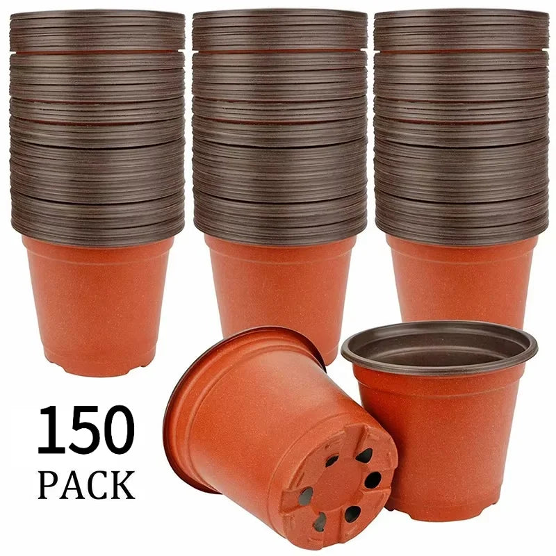 75-Pack Nursery Pots